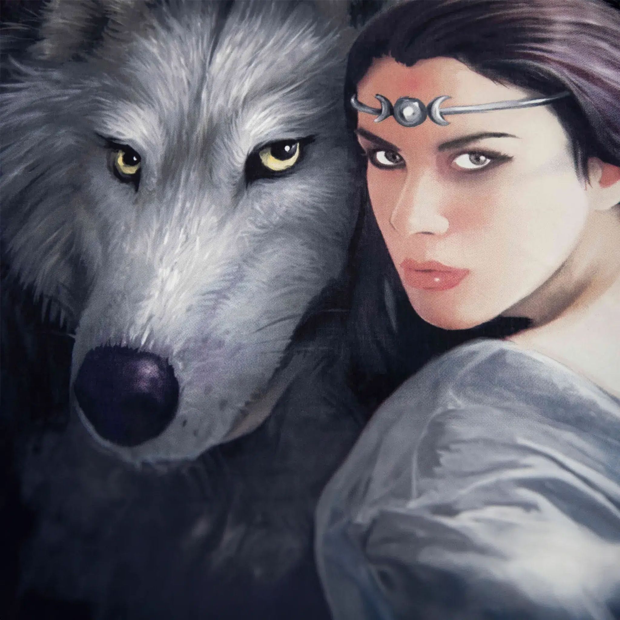 Nahaufnahme des Anne Stokes Artworks Frau mit Wolf