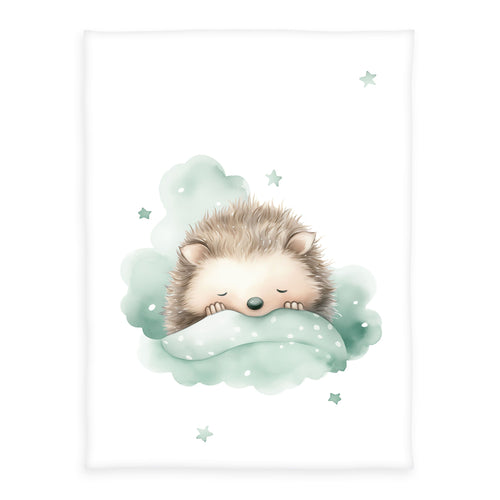 babybest Kuscheldecke ‘Kleiner Igel’ 75 x 100 cm: schlafender Igel in einer mintgrünen Wolke mit Sternen auf Weiß